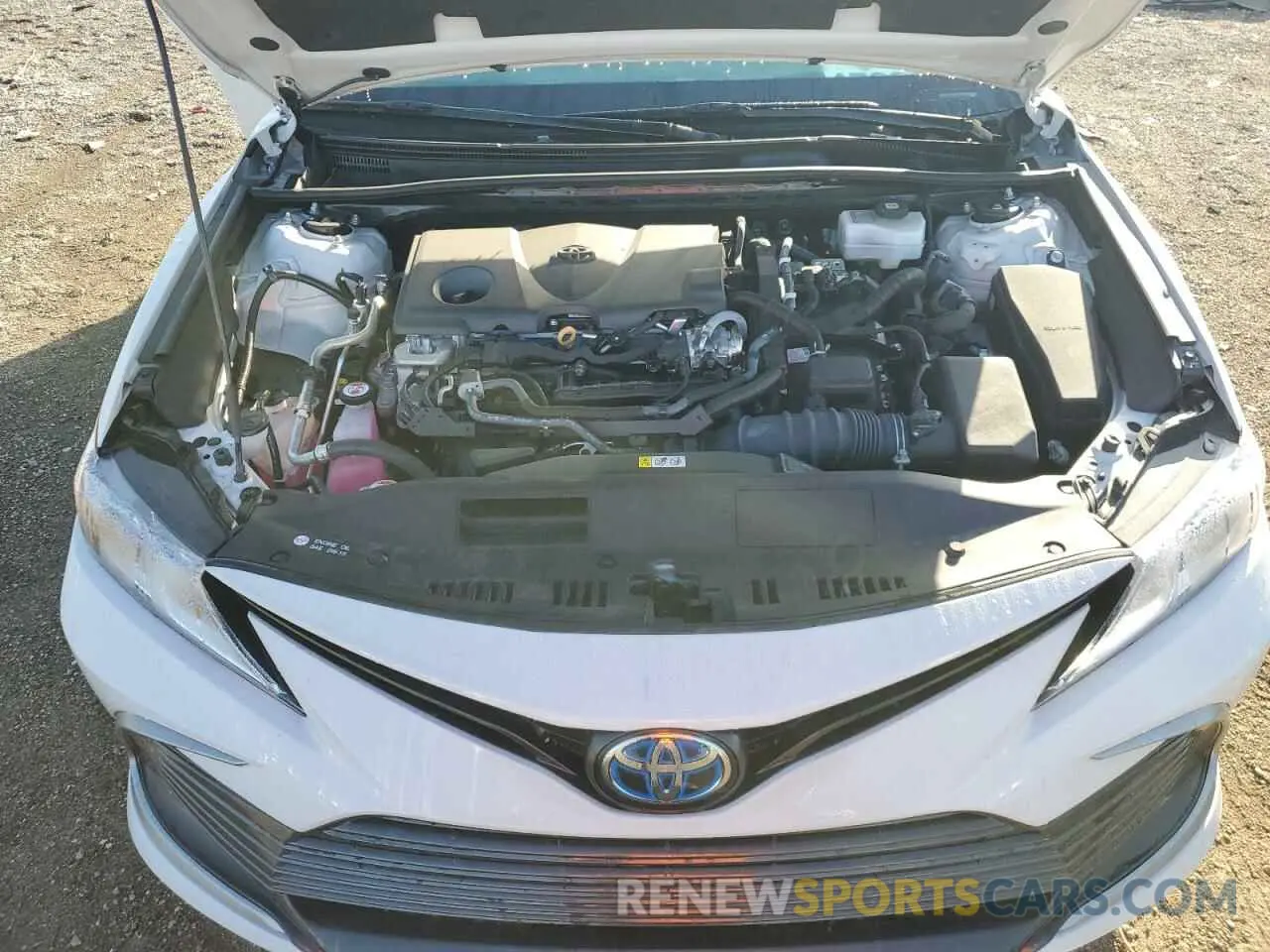 11 fotografías del automóvil dañado 4T1C31AK7PU056185 TOYOTA CAMRY 2023