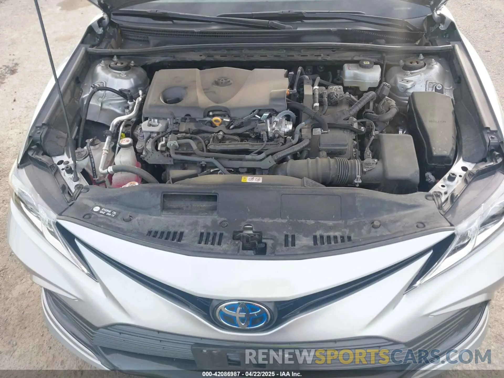 10 fotografías del automóvil dañado 4T1C31AK7PU600815 TOYOTA CAMRY 2023