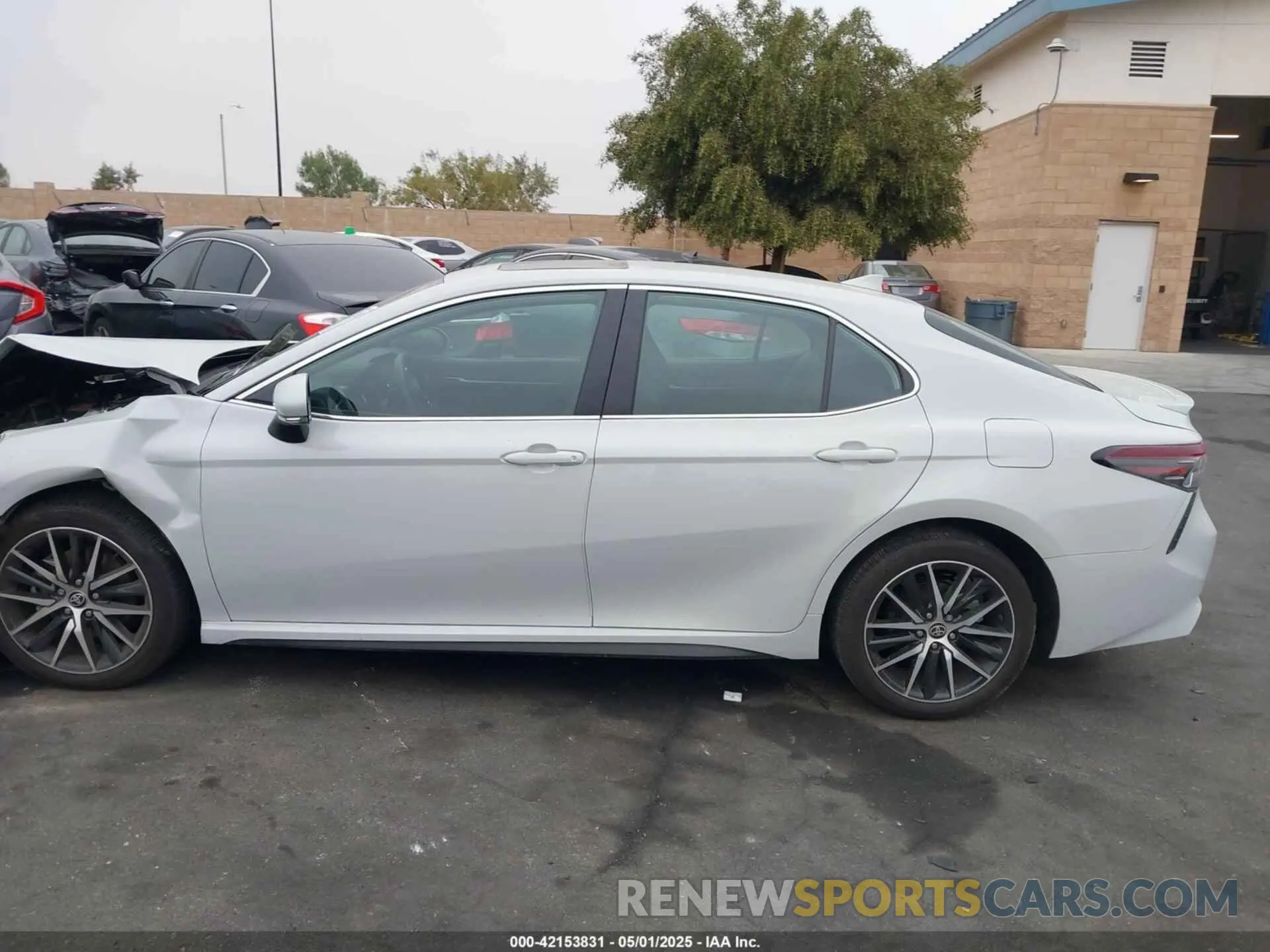14 fotografías del automóvil dañado 4T1T11AK6PU091175 TOYOTA CAMRY 2023