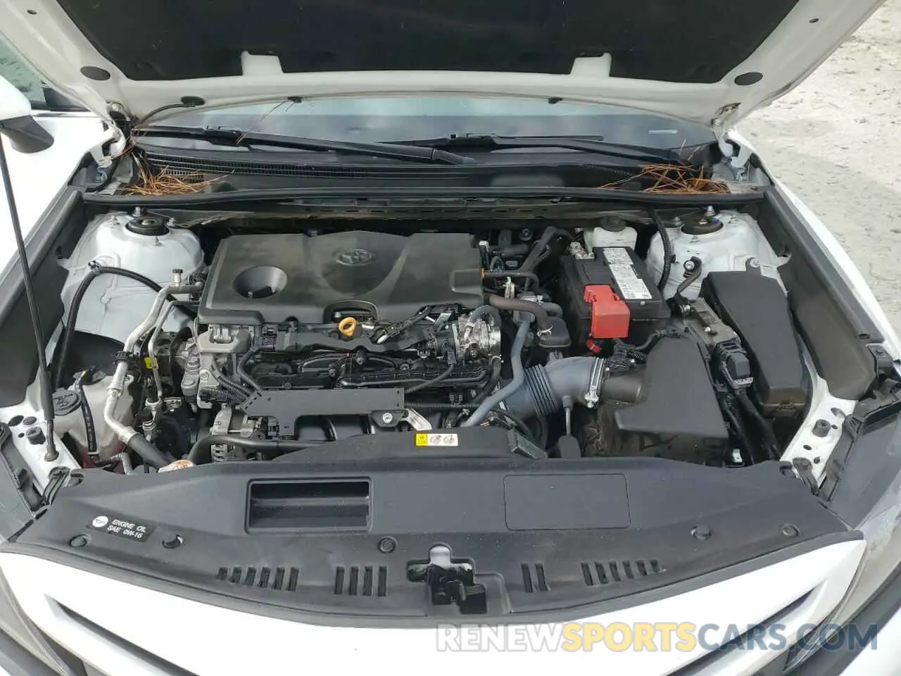 11 fotografías del automóvil dañado 4T1T11AK6PU766233 TOYOTA CAMRY 2023