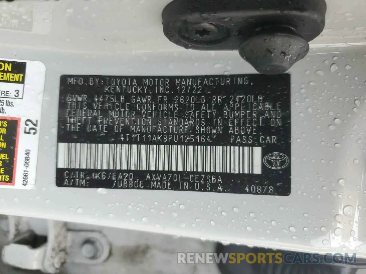 13 fotografías del automóvil dañado 4T1T11AK8PU125164 TOYOTA CAMRY 2023
