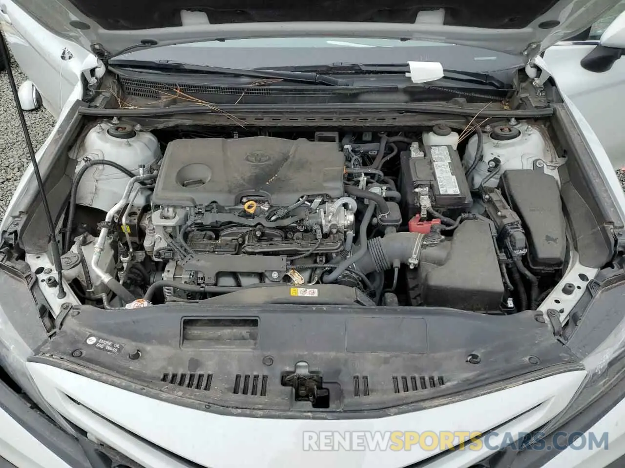 11 fotografías del automóvil dañado 4T1T11BK7PU086811 TOYOTA CAMRY 2023