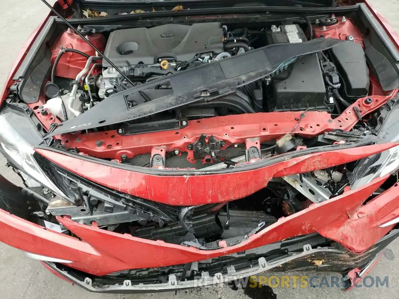 11 fotografías del automóvil dañado 4T1C11AK2RU195570 TOYOTA CAMRY 2024
