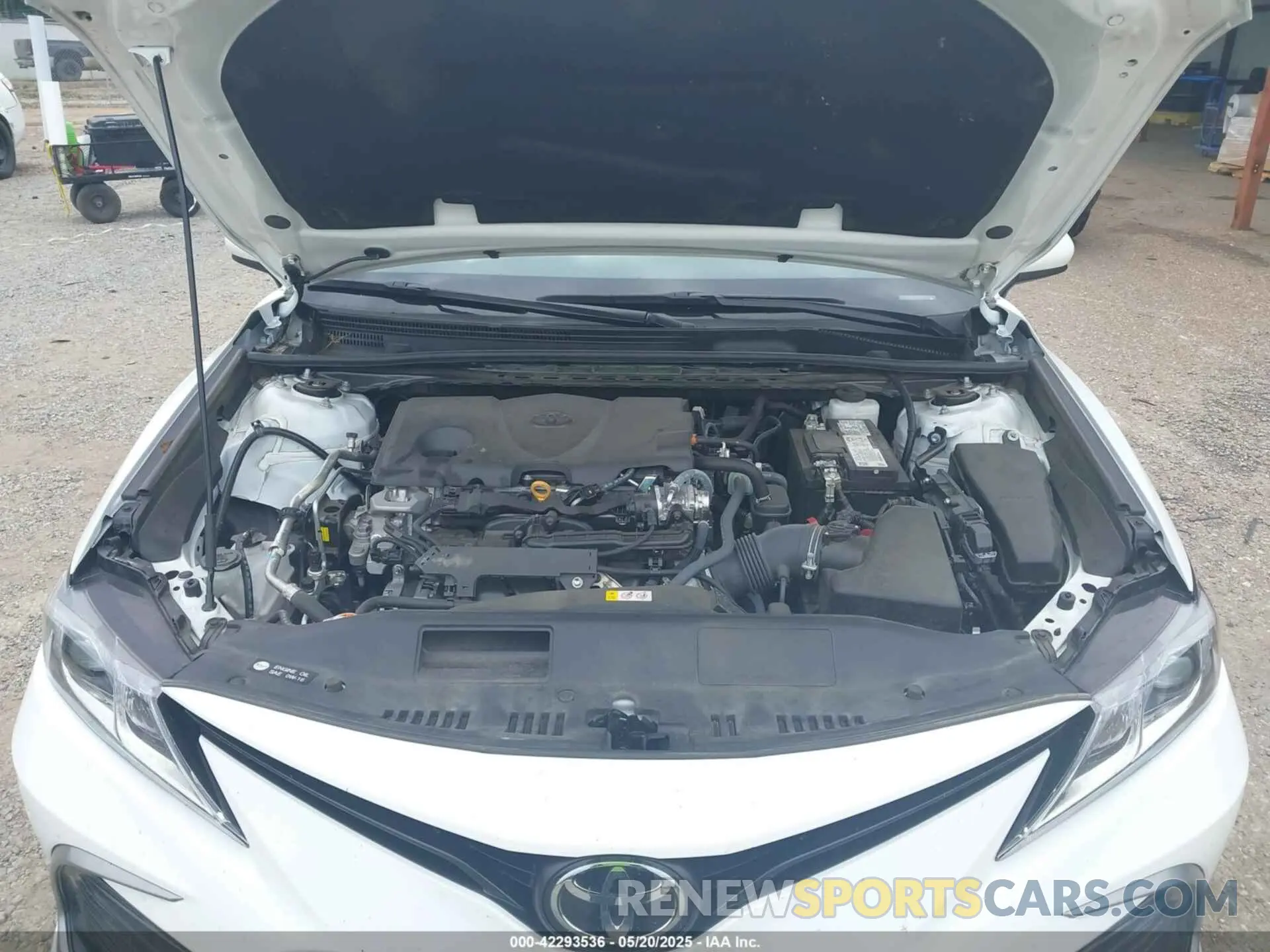 10 fotografías del automóvil dañado 4T1C11AK5RU865810 TOYOTA CAMRY 2024