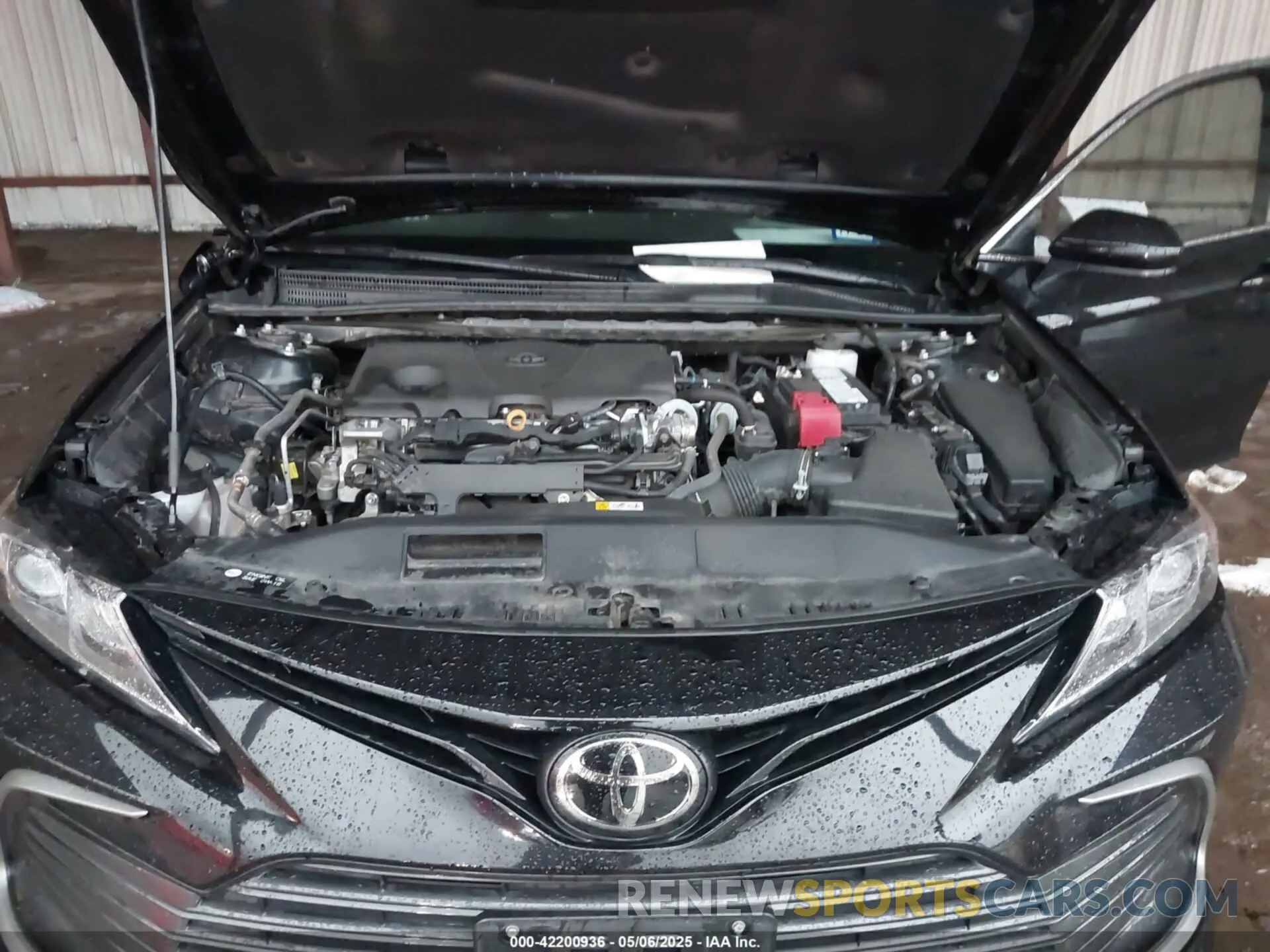 10 fotografías del automóvil dañado 4T1C11AK6RU875603 TOYOTA CAMRY 2024