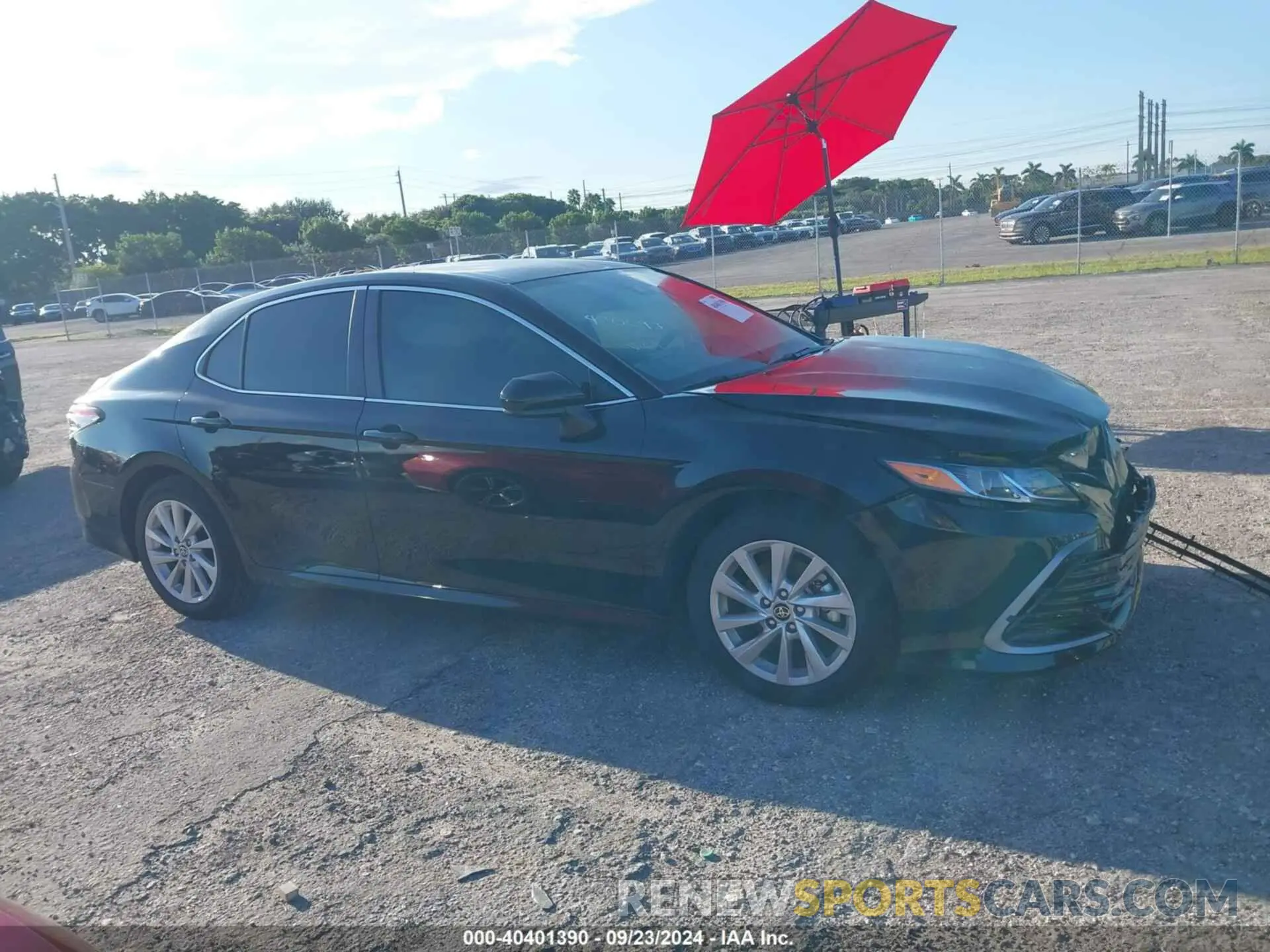 13 fotografías del automóvil dañado 4T1C11AK9RU222943 TOYOTA CAMRY 2024