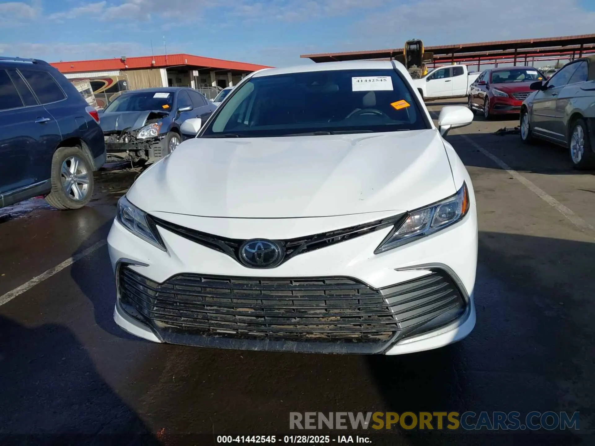 13 fotografías del automóvil dañado 4T1C11AK9RU846239 TOYOTA CAMRY 2024