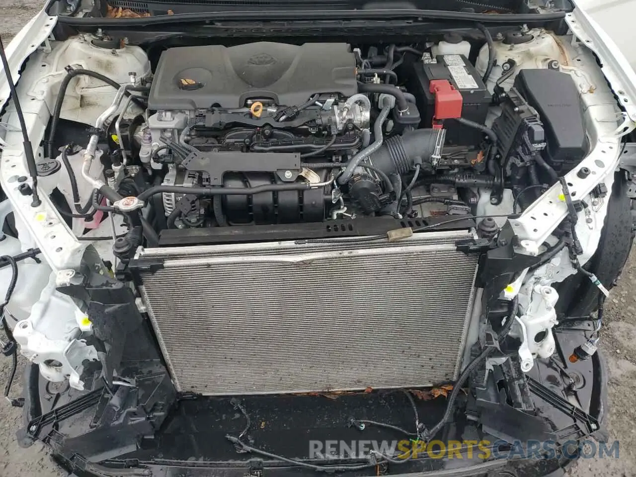 13 fotografías del automóvil dañado 4T1C11AKXRU191802 TOYOTA CAMRY 2024