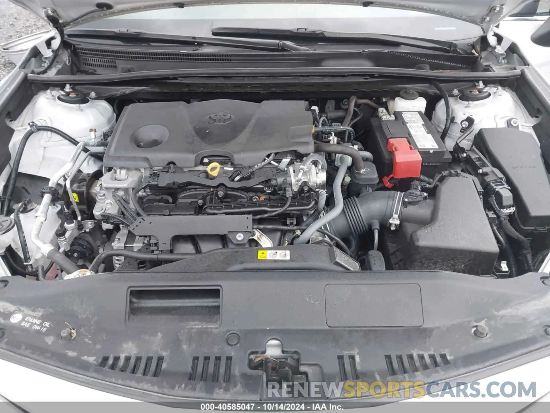 10 fotografías del automóvil dañado 4T1C11AKXRU204273 TOYOTA CAMRY 2024