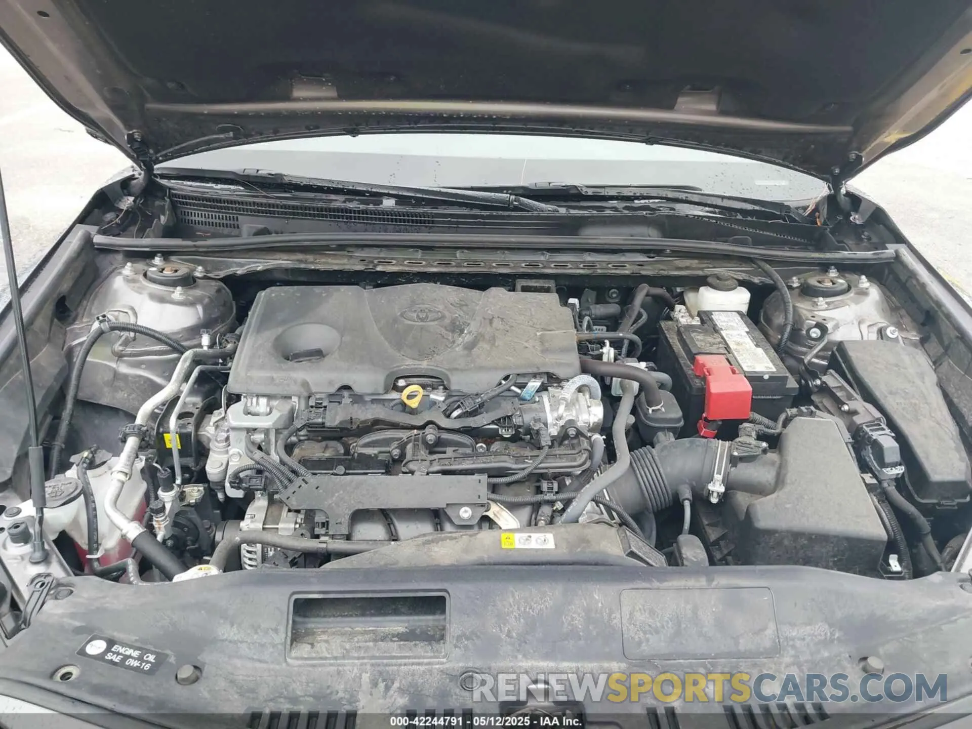 10 fotografías del automóvil dañado 4T1C11BK4RU129276 TOYOTA CAMRY 2024