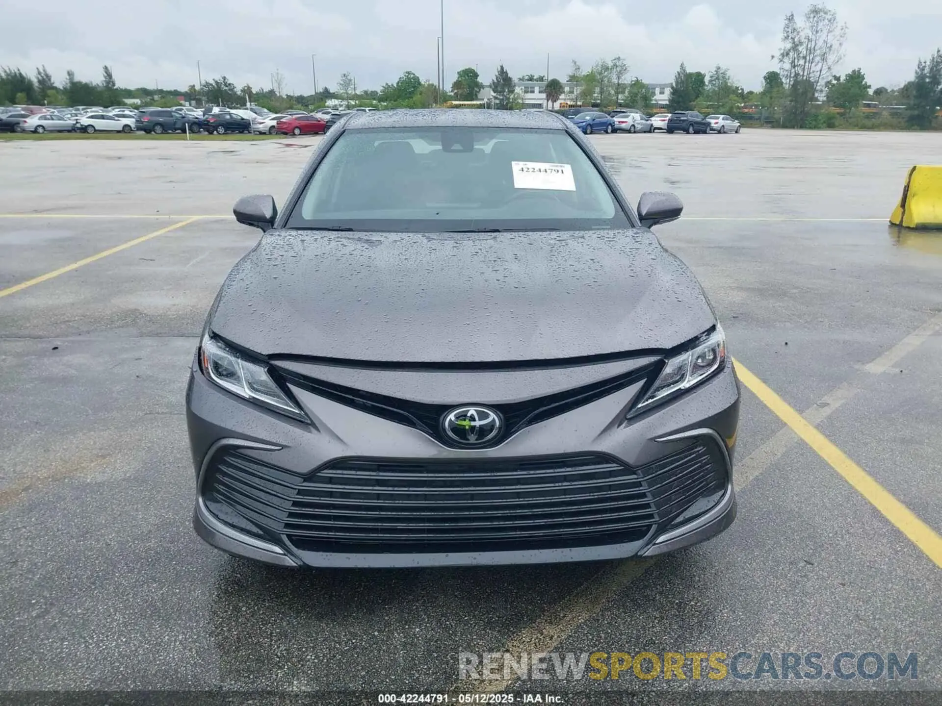 12 fotografías del automóvil dañado 4T1C11BK4RU129276 TOYOTA CAMRY 2024