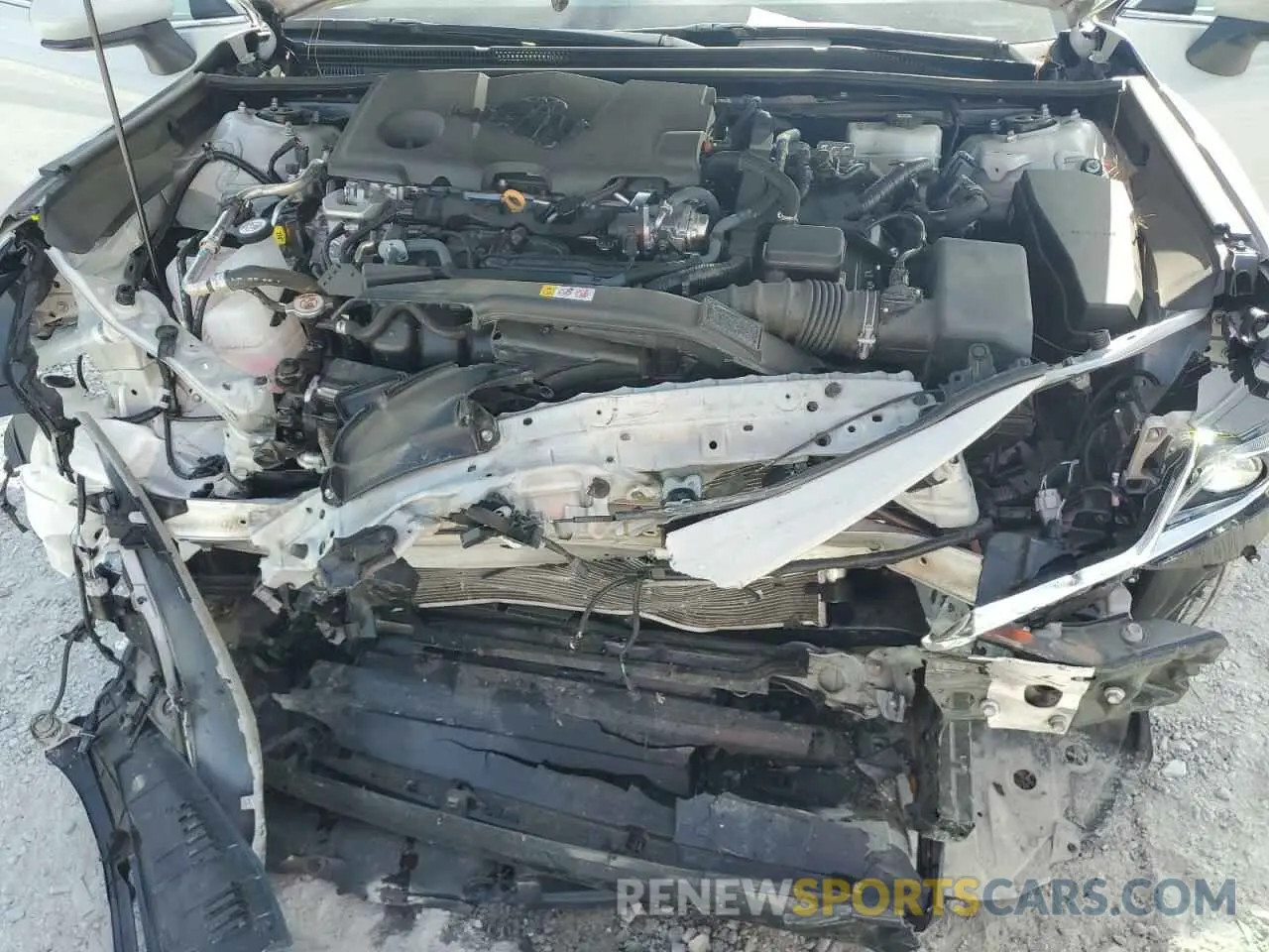 11 fotografías del automóvil dañado 4T1C31AK0RU062039 TOYOTA CAMRY 2024