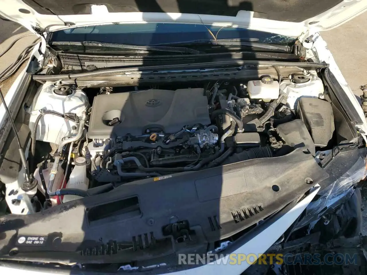 11 fotografías del automóvil dañado 4T1C31AK6RU065138 TOYOTA CAMRY 2024