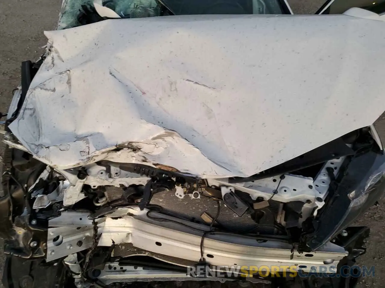 12 fotografías del automóvil dañado 4T1G11AK0RU919368 TOYOTA CAMRY 2024