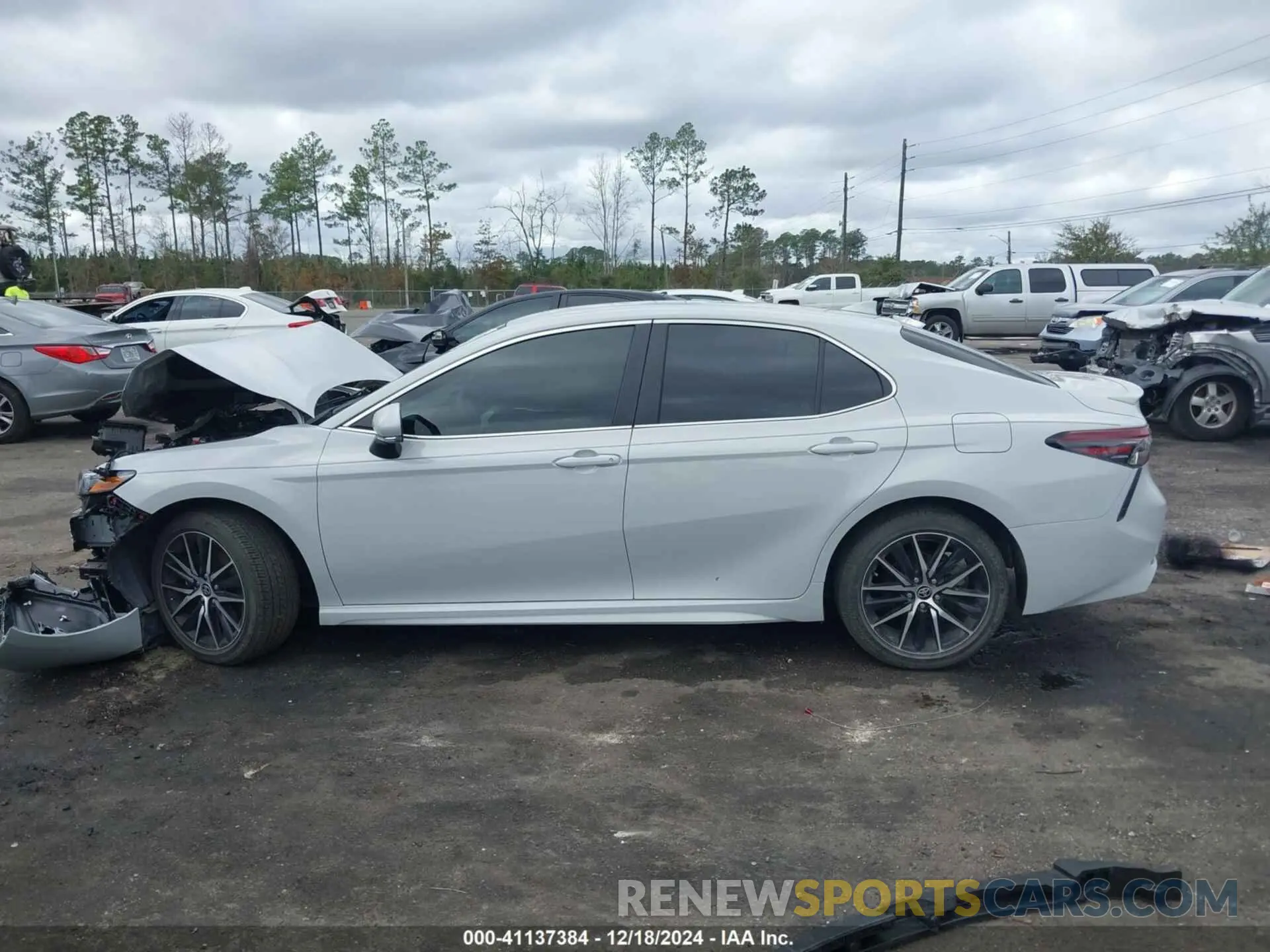 14 fotografías del automóvil dañado 4T1G11AK2RU265344 TOYOTA CAMRY 2024