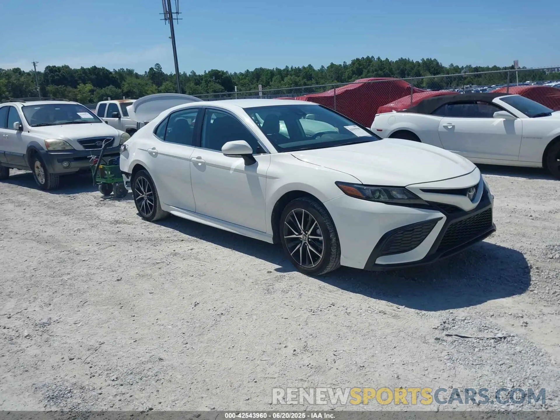 1 fotografías del automóvil dañado 4T1G11AK6RU249213 TOYOTA CAMRY 2024