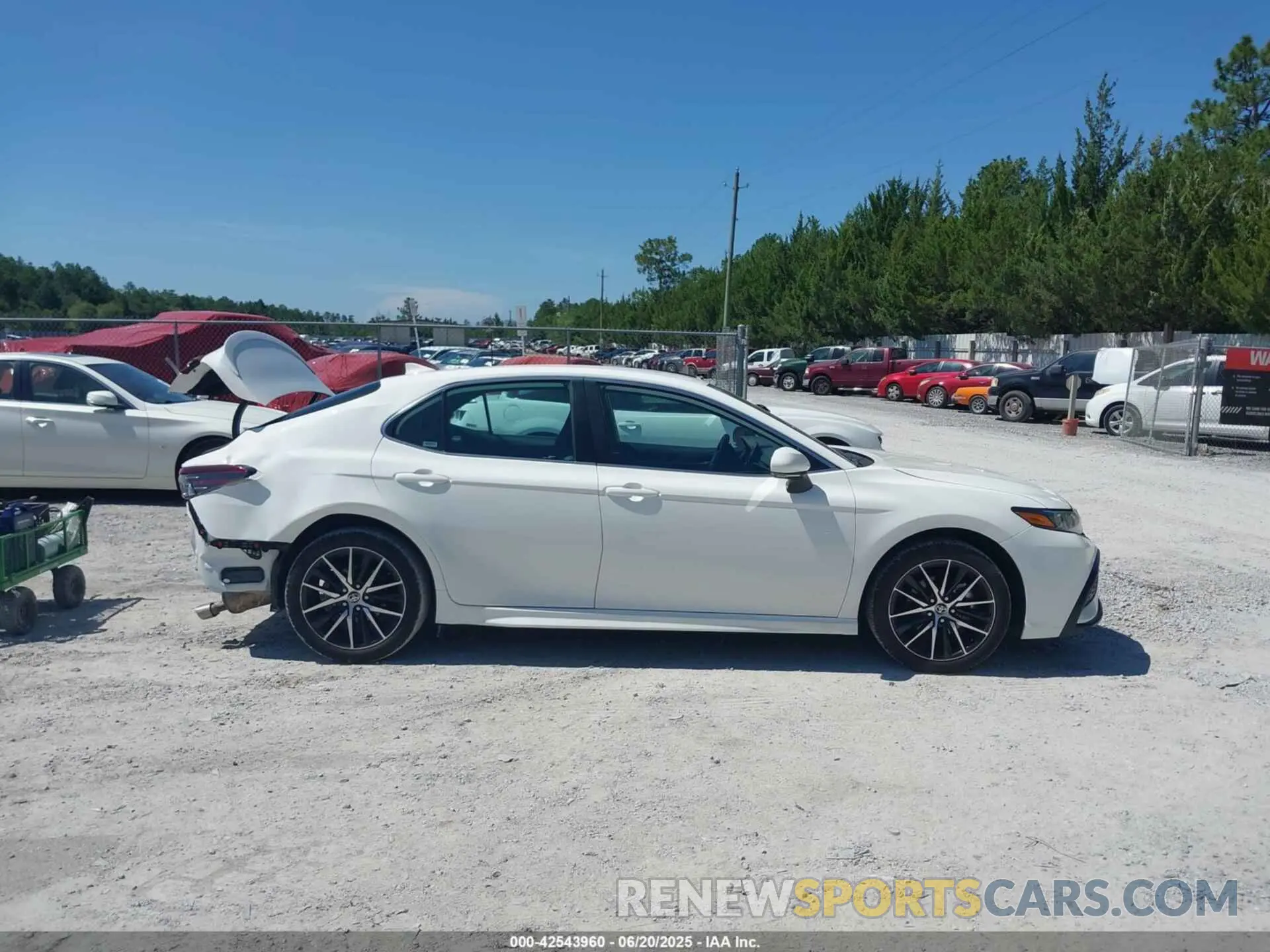 14 fotografías del automóvil dañado 4T1G11AK6RU249213 TOYOTA CAMRY 2024