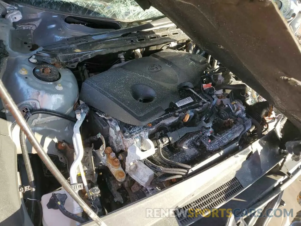 12 fotografías del automóvil dañado 4T1G11AK7RU909999 TOYOTA CAMRY 2024