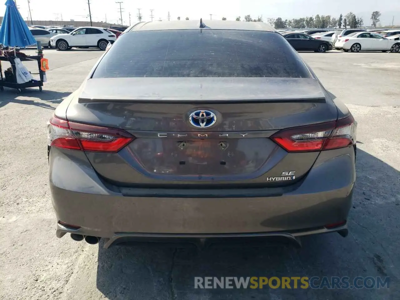 6 fotografías del automóvil dañado 4T1G31AK1RU631742 TOYOTA CAMRY 2024