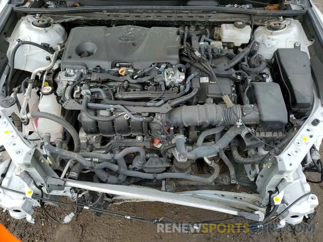 11 fotografías del automóvil dañado 4T1G31AK6RU623510 TOYOTA CAMRY 2024
