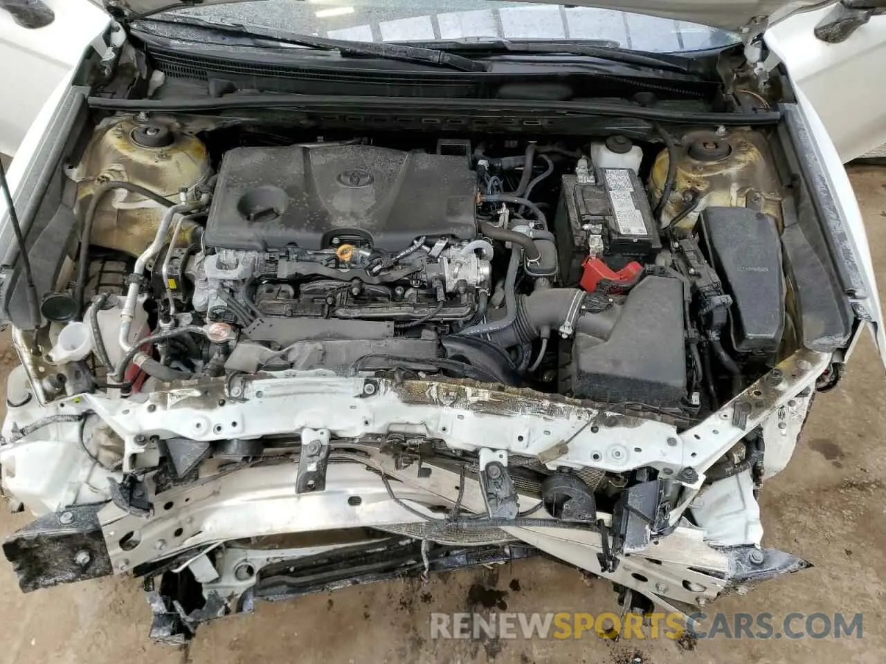 11 fotografías del automóvil dañado 4T1S11BK4RU112568 TOYOTA CAMRY 2024
