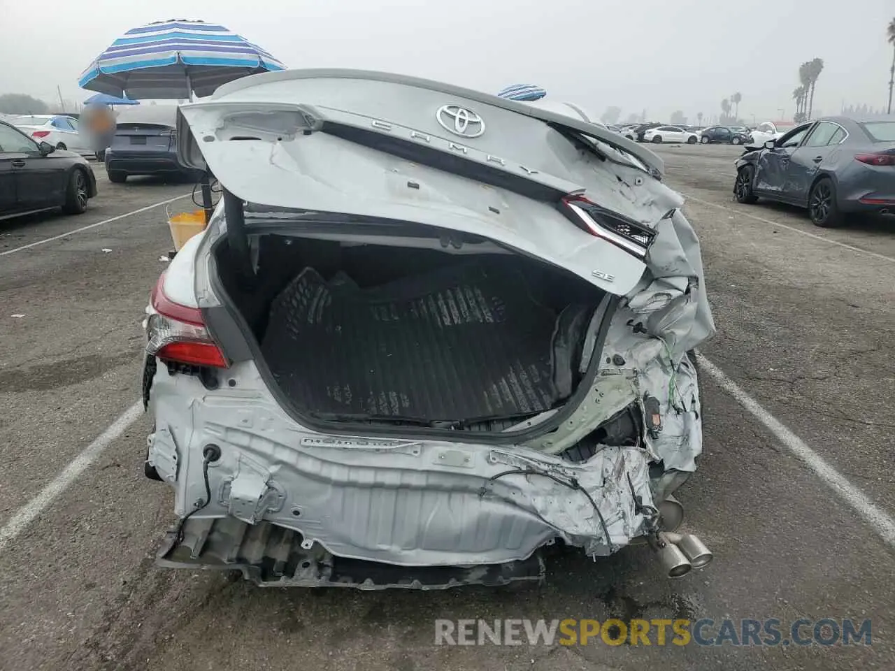 6 fotografías del automóvil dañado 4T1T11AK8RU266111 TOYOTA CAMRY 2024