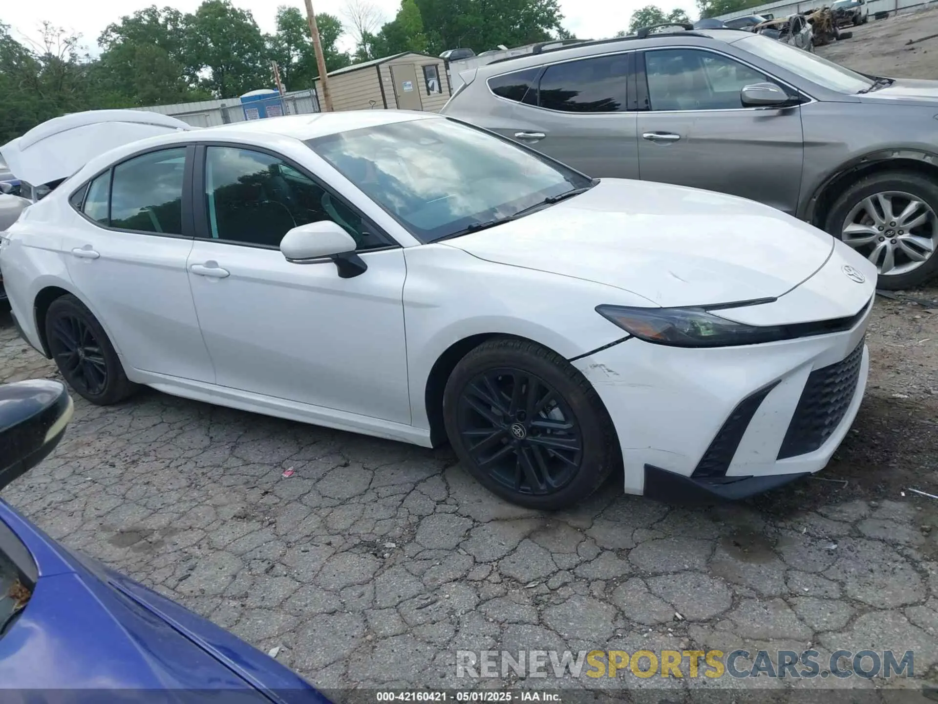 13 fotografías del automóvil dañado 4T1DAACK1SU505344 TOYOTA CAMRY 2025