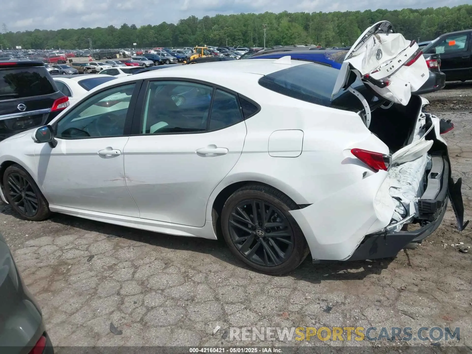 14 fotografías del automóvil dañado 4T1DAACK1SU505344 TOYOTA CAMRY 2025