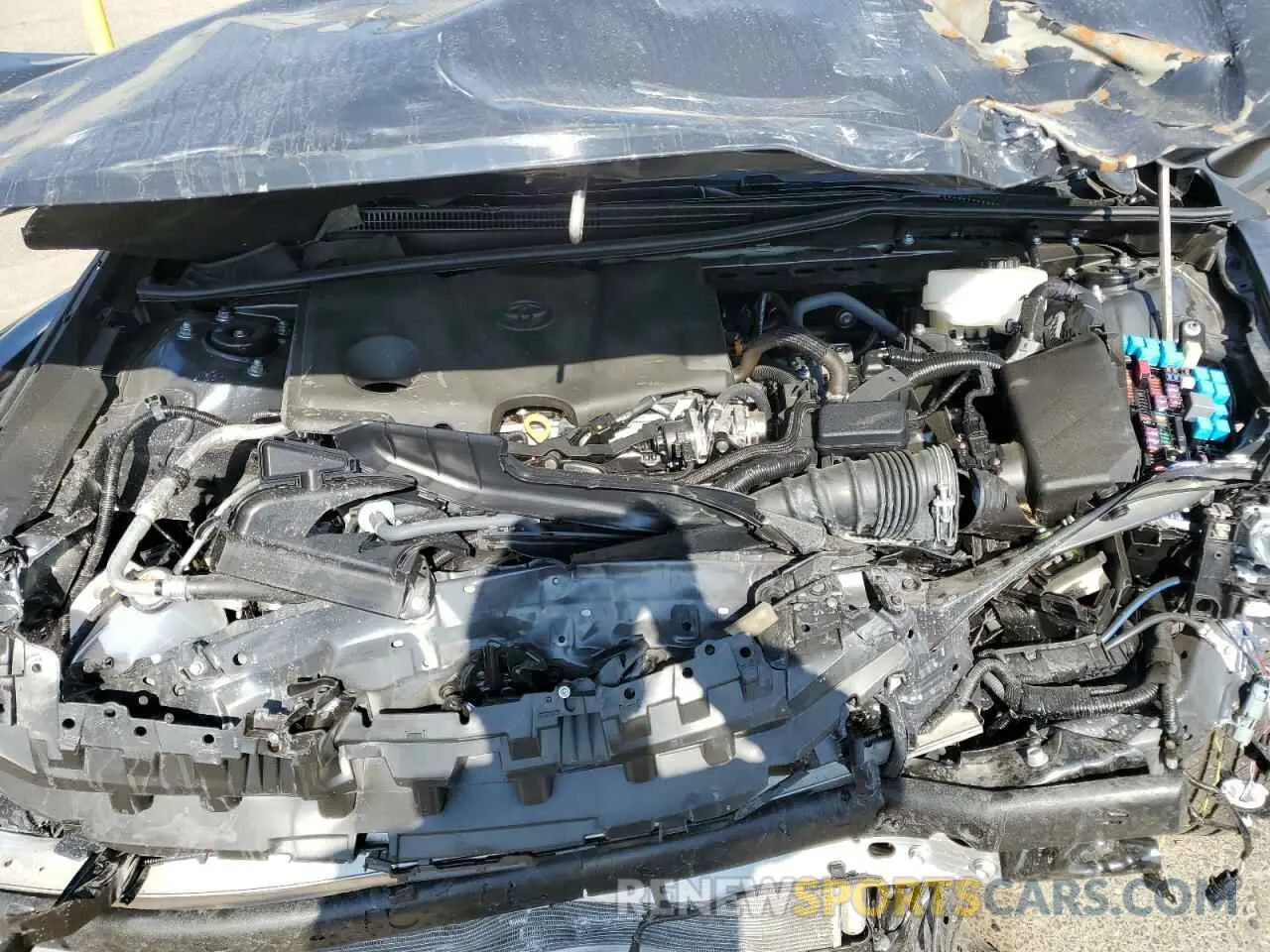 11 fotografías del automóvil dañado 4T1DAACK1SU539963 TOYOTA CAMRY 2025