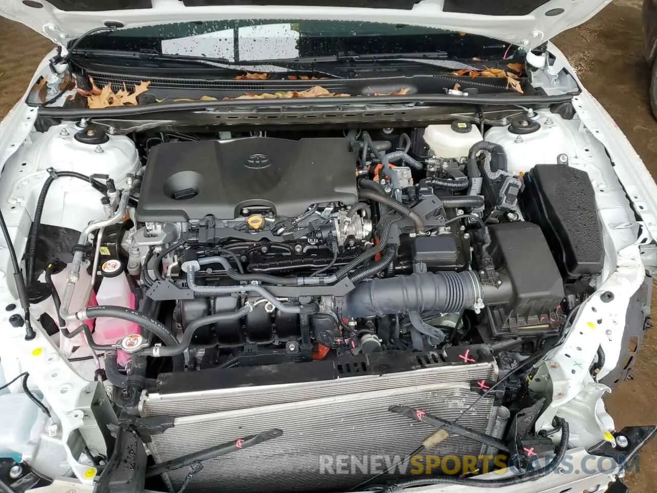 11 fotografías del automóvil dañado 4T1DAACK2SU007220 TOYOTA CAMRY 2025