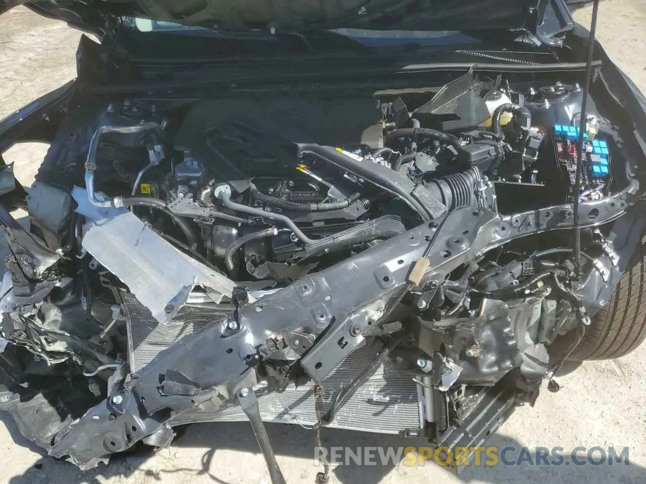 11 fotografías del automóvil dañado 4T1DAACK2SU506471 TOYOTA CAMRY 2025