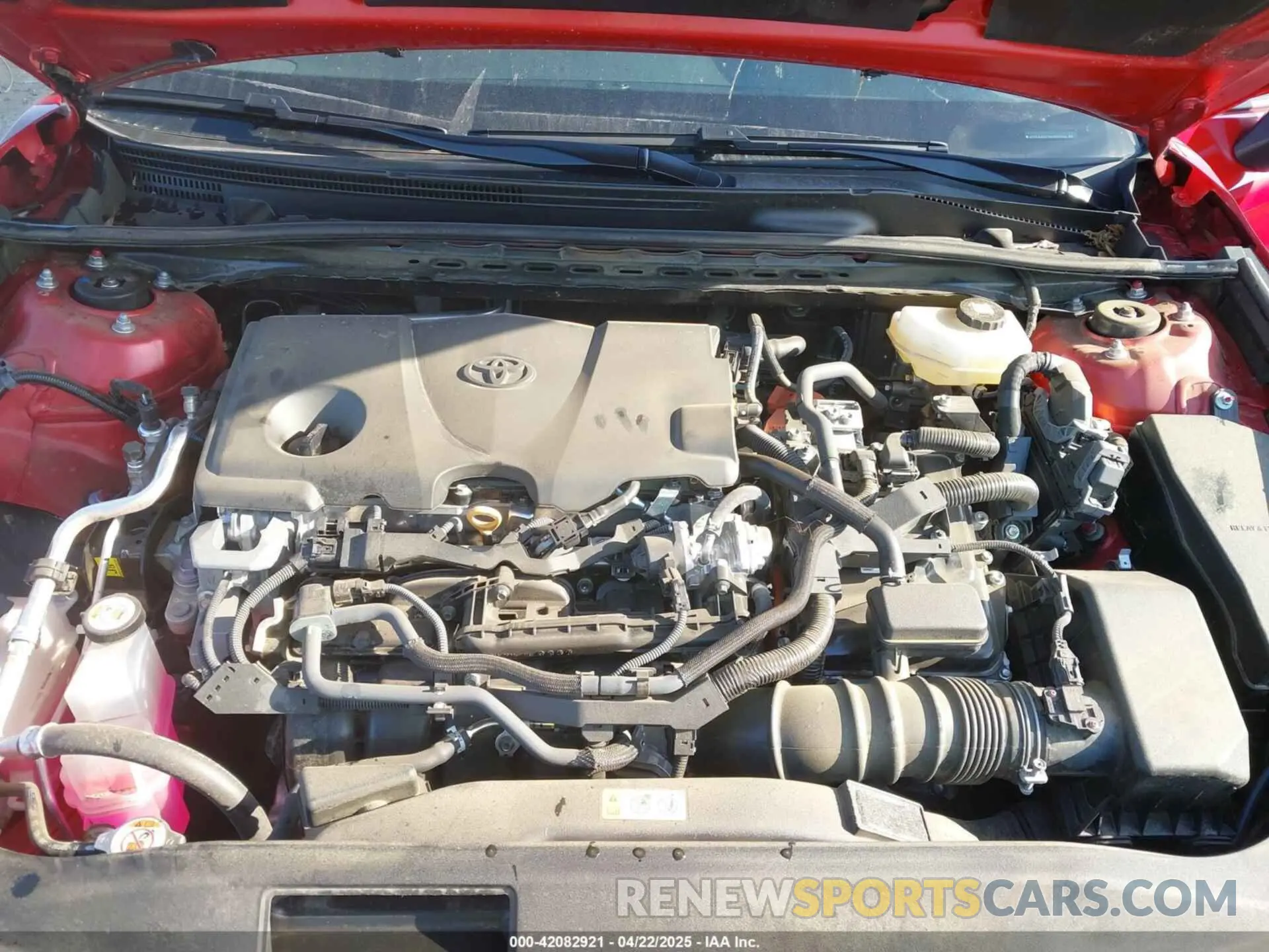 10 fotografías del automóvil dañado 4T1DAACK3SU050769 TOYOTA CAMRY 2025