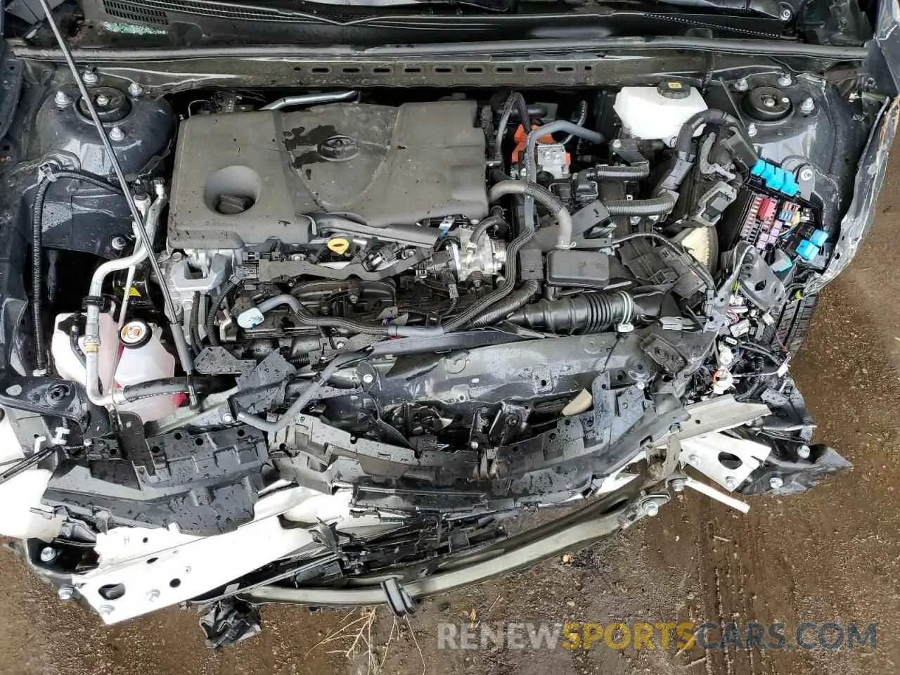 11 fotografías del automóvil dañado 4T1DAACK3SU106435 TOYOTA CAMRY 2025