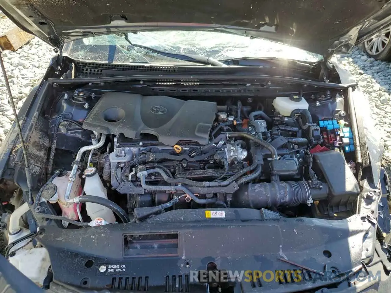 11 fotografías del automóvil dañado 4T1DAACK5SU001475 TOYOTA CAMRY 2025