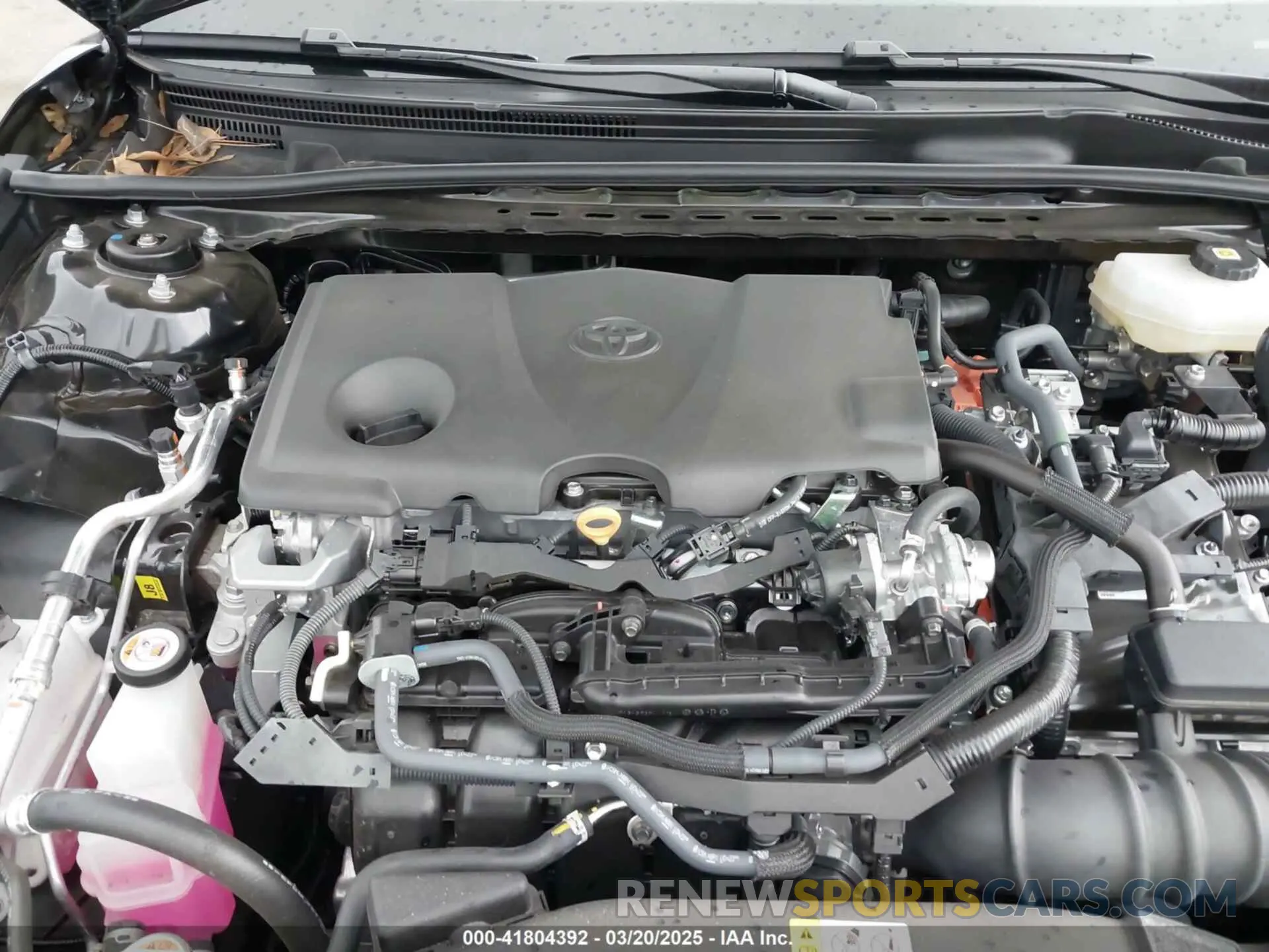 10 fotografías del automóvil dañado 4T1DAACK5SU504522 TOYOTA CAMRY 2025