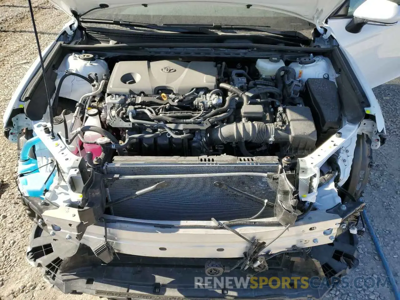 11 fotografías del automóvil dañado 4T1DAACK5SU519411 TOYOTA CAMRY 2025