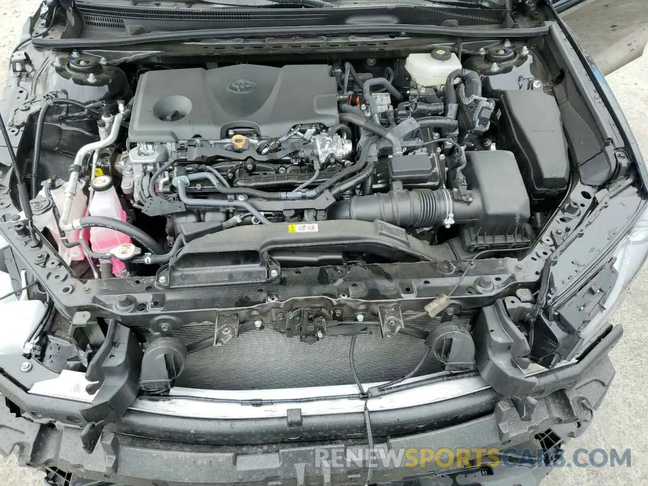 13 fotografías del automóvil dañado 4T1DAACK5SU567488 TOYOTA CAMRY 2025