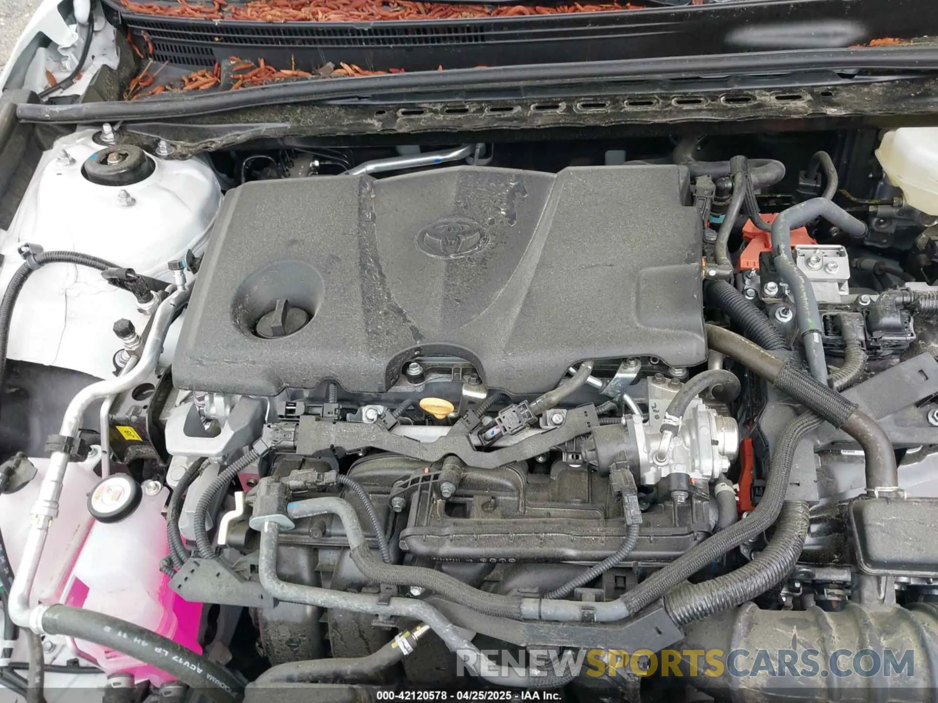 10 fotografías del automóvil dañado 4T1DAACK6SU545886 TOYOTA CAMRY 2025