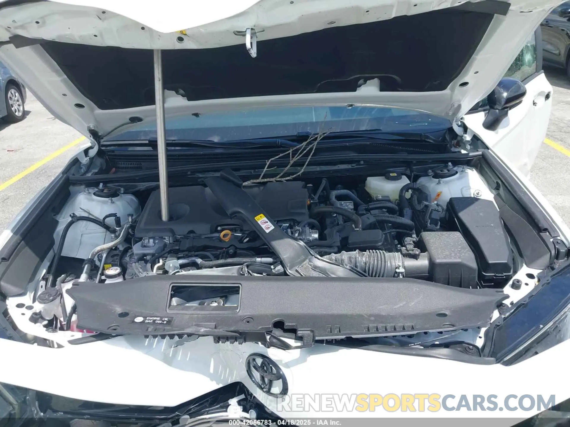 10 fotografías del automóvil dañado 4T1DAACKXSU079945 TOYOTA CAMRY 2025