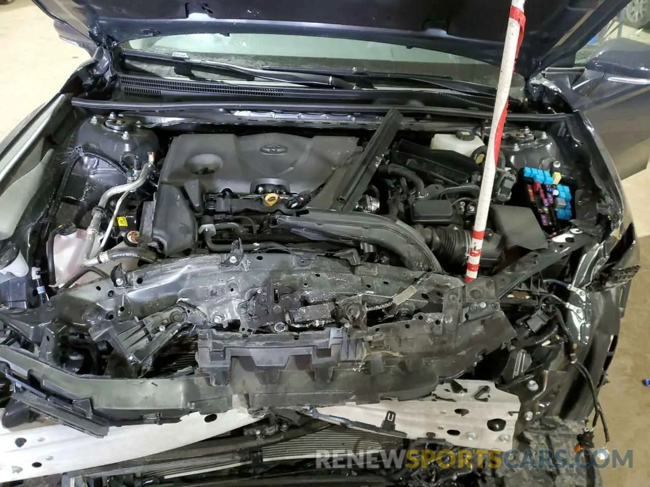 11 fotografías del automóvil dañado 4T1DBADK0SU501328 TOYOTA CAMRY 2025
