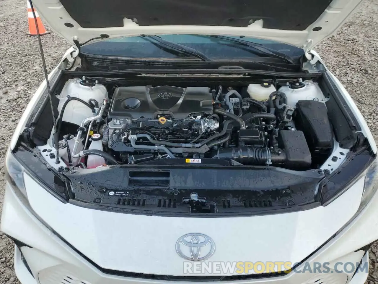 11 fotografías del automóvil dañado 4T1DBADK5SU001312 TOYOTA CAMRY 2025