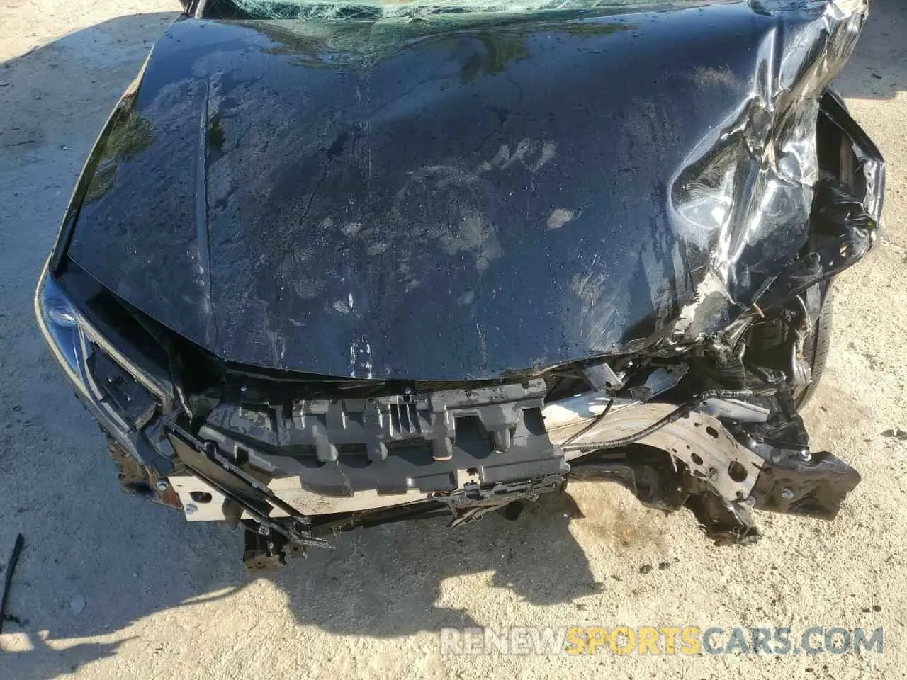 11 fotografías del automóvil dañado 4T1DBADK5SU502605 TOYOTA CAMRY 2025