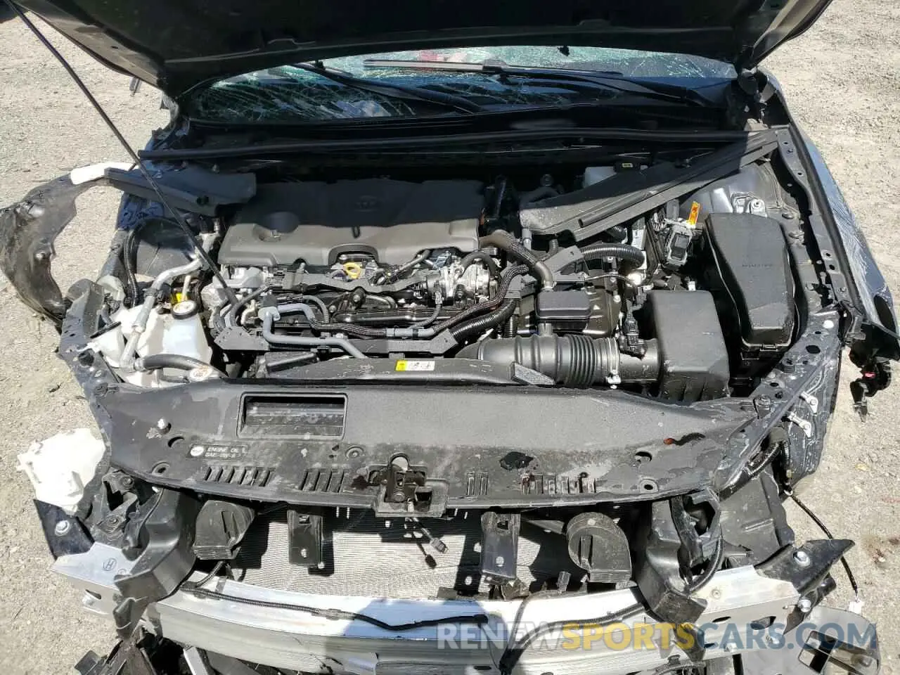 11 fotografías del automóvil dañado 4T1DBADK5SU518657 TOYOTA CAMRY 2025