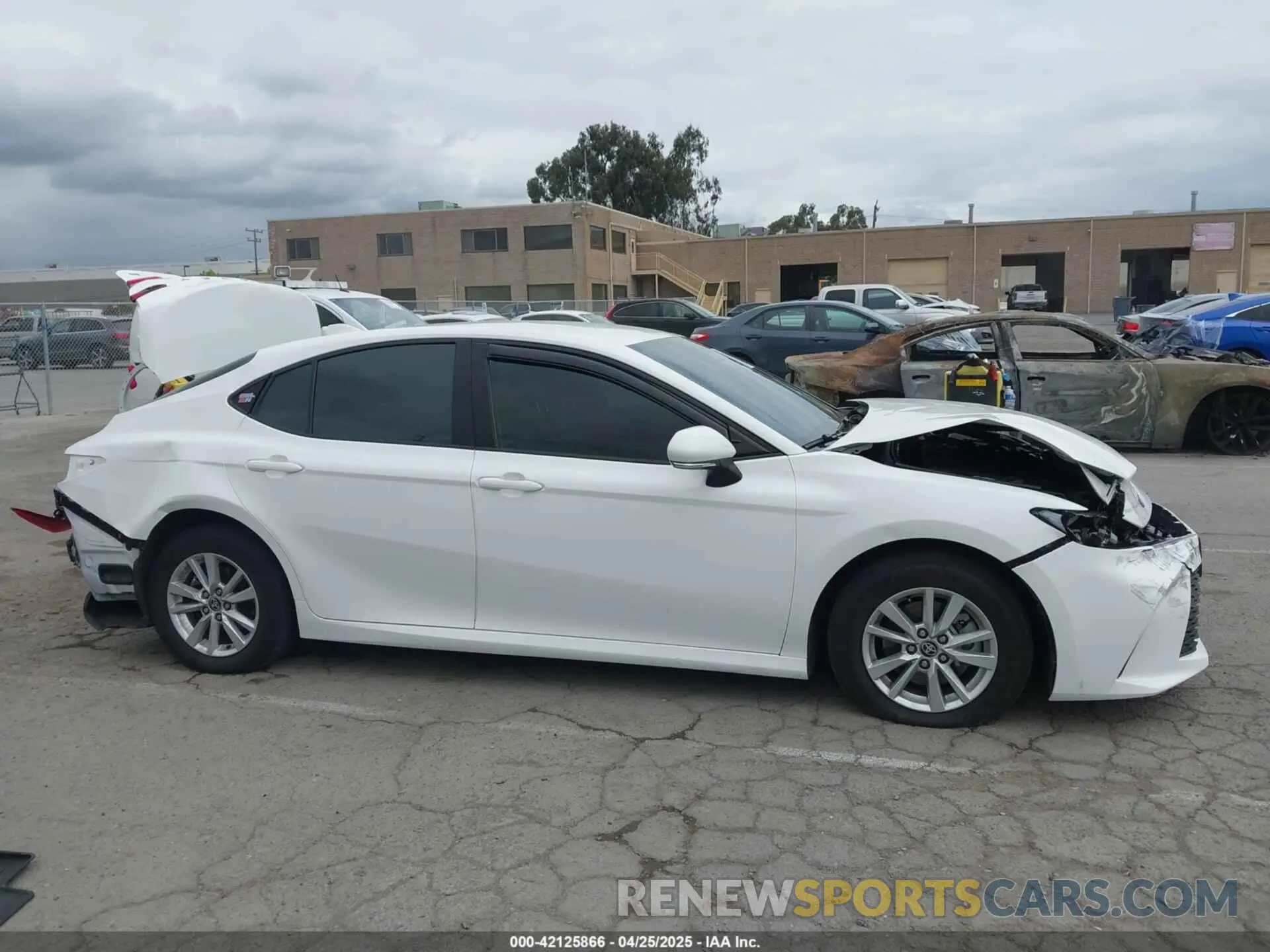 14 fotografías del automóvil dañado 4T1DBADK6SU002775 TOYOTA CAMRY 2025