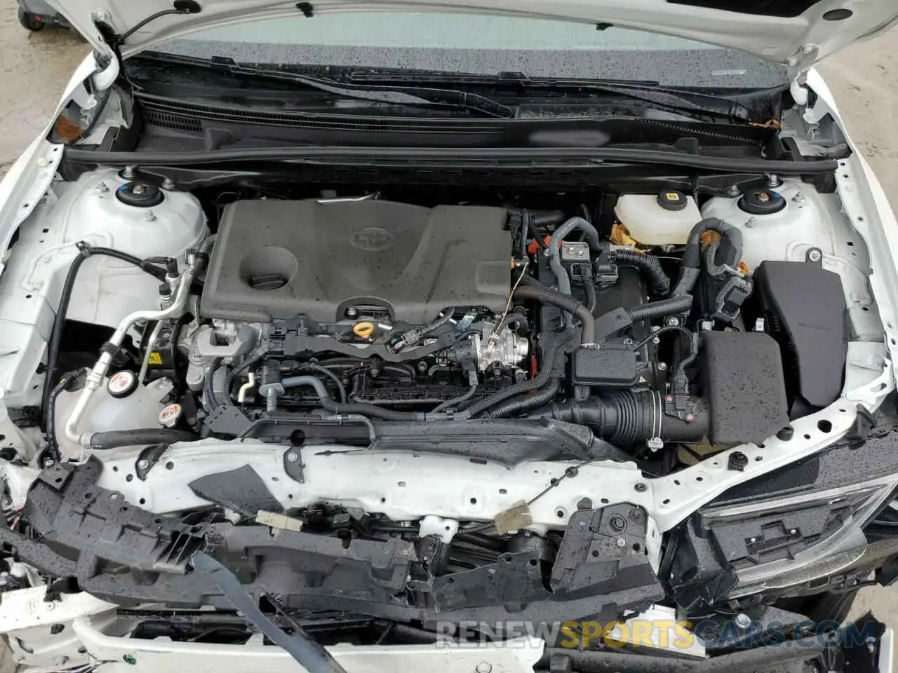 11 fotografías del automóvil dañado 4T1DBADK8SU002163 TOYOTA CAMRY 2025