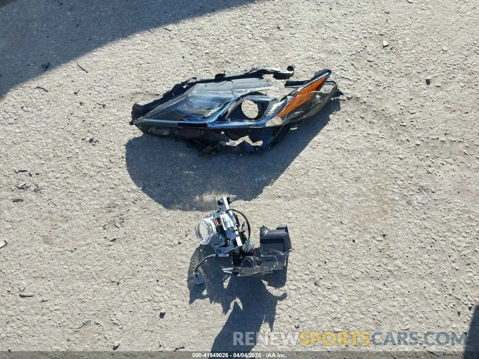 12 fotografías del automóvil dañado 4T1B21HK0KU513268 TOYOTA CAMRY HYBRID 2019