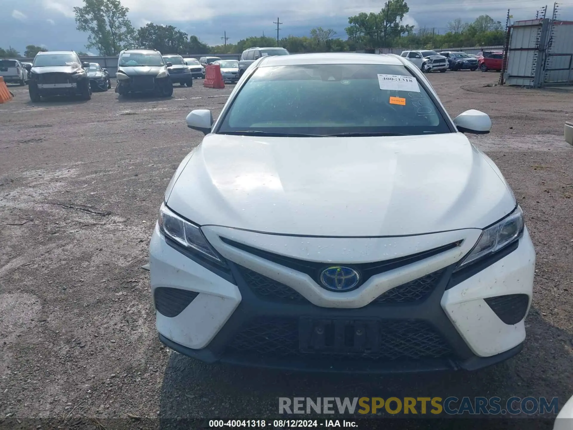 12 fotografías del automóvil dañado 4T1B21HK4KU521227 TOYOTA CAMRY HYBRID 2019