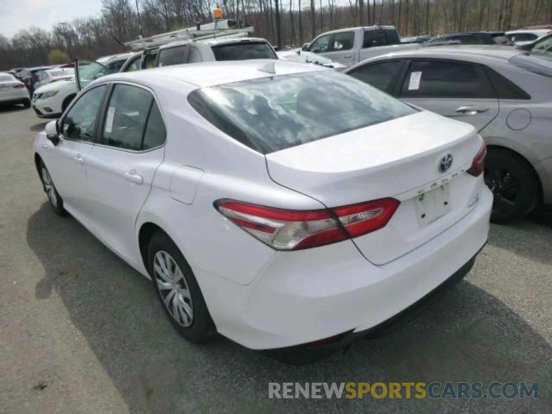 9 fotografías del automóvil dañado 4T1B31HK1KU514166 TOYOTA CAMRY HYBRID 2019