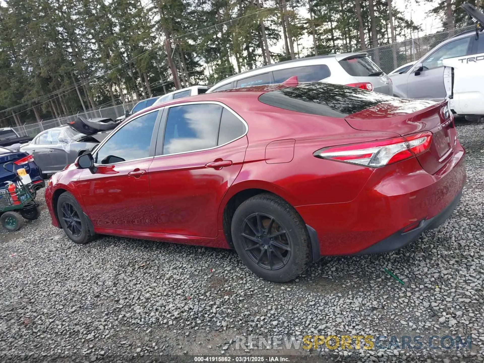 14 fotografías del automóvil dañado 4T1B31HK4KU516638 TOYOTA CAMRY HYBRID 2019