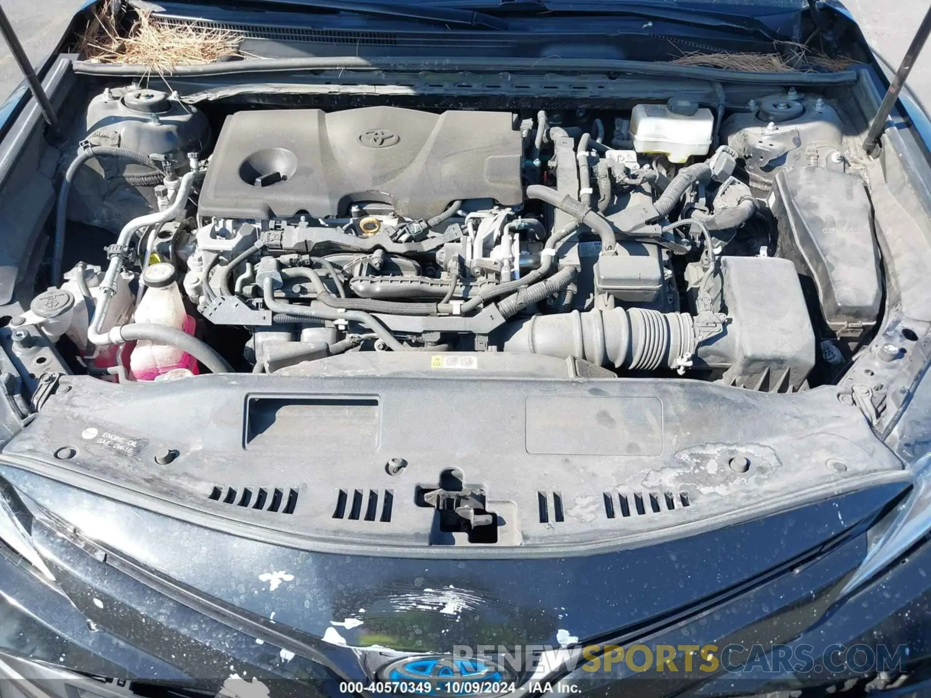 10 fotografías del automóvil dañado 4T1B31HK9KU006429 TOYOTA CAMRY HYBRID 2019